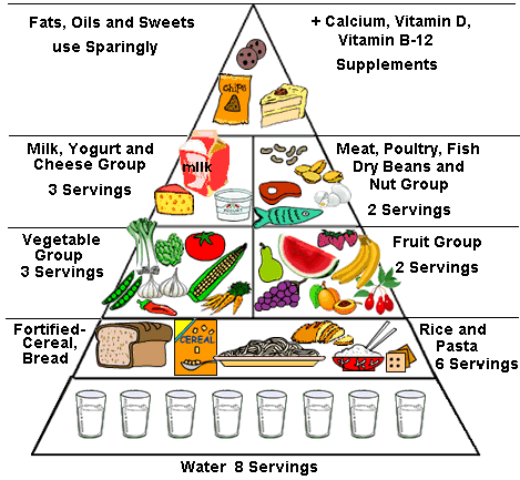 Food Pyramid - Lots of great tips and advice